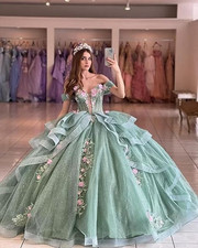 Off Shoulder Quinceanera Dresses Ball Gown Pink 3D Floral for Quince Sweet 16