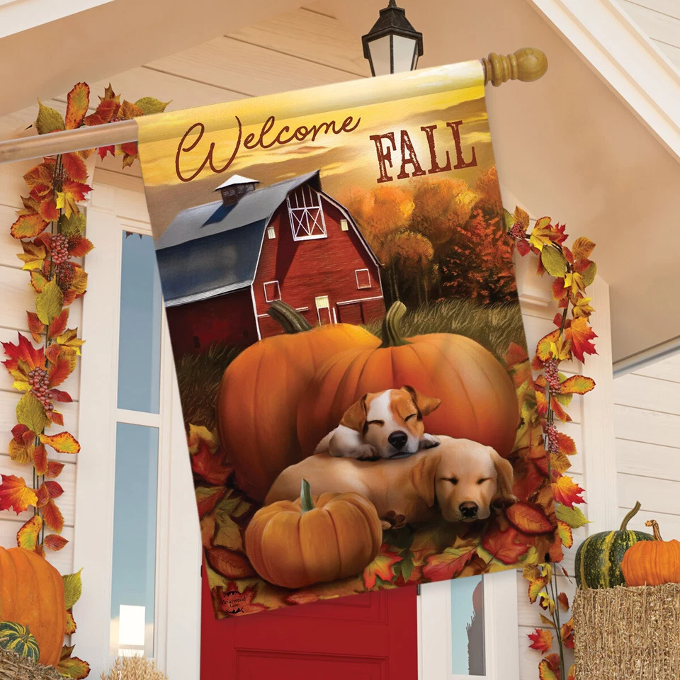 Флаг Welcome Fall Puppies House Flag Autumn Pumpkin Farm 28 дюймов x 40 дюймов Briarwood Lane - Изображение 3 из 4