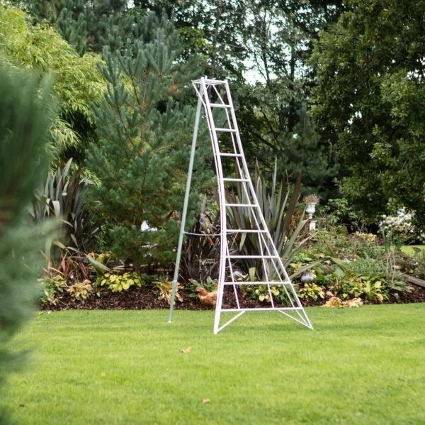 Orchard ladder outlet