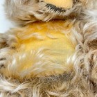 Bild 6 von 8