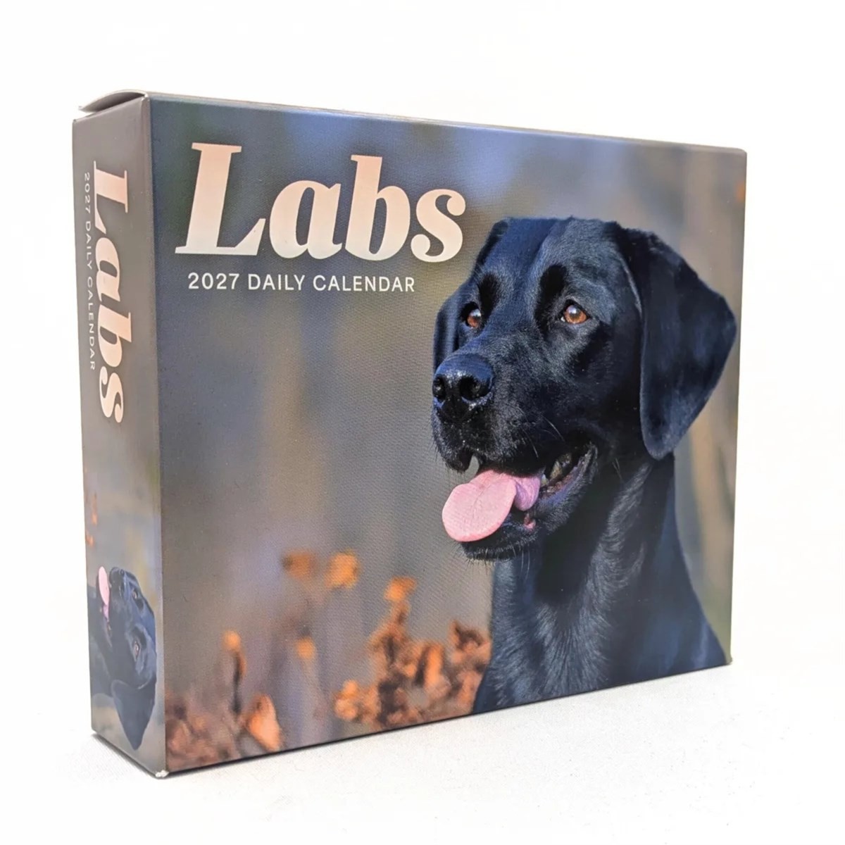 Rackhams Black/Yellow Labrador Retrievers Desk Calendar 2027, Desk Calendars, Day To View, Dogs, Gift - Image 2