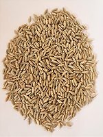 Bio Roggen, Naturland, direkt vom Mühlenbauer und landwirt