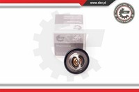 Esen SKV Thermostat KüHlmittel 89°C FüR Renault Megane Scenic ScéNic I 20SKV047