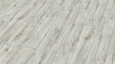 Click Laminat Kronotex Exquisit Montmelo Eiche Creme D3660 NK32 XL für 10,99 /m²