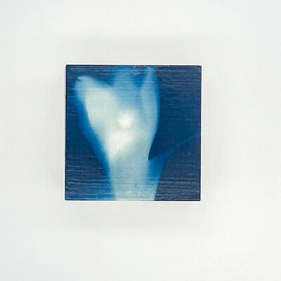 Original Handmade Cyanotype Cotton Print Block - Swamp Lily Series