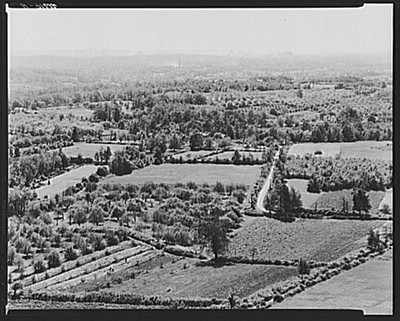 Photo:New Haven Connecticut 1940 Truck Farms Orchards City View
