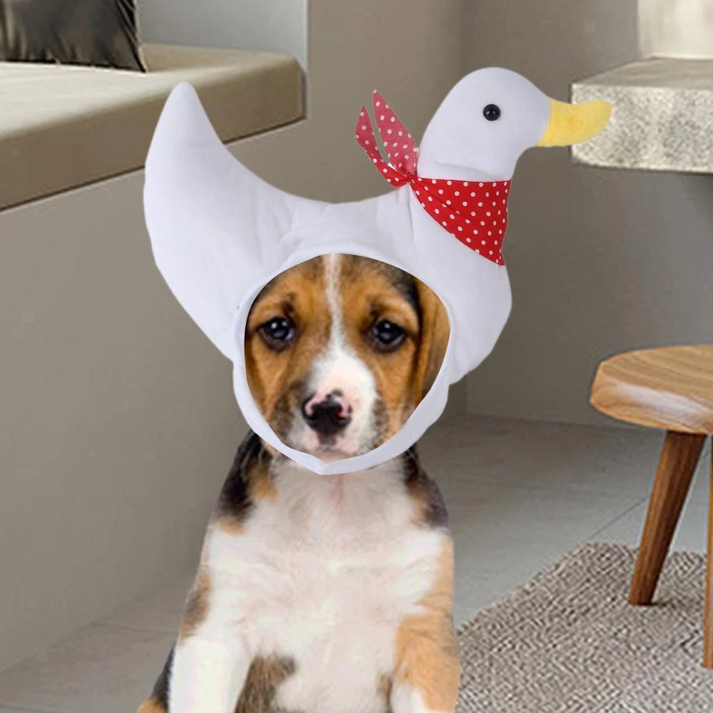 Duck hat for dogs 2025