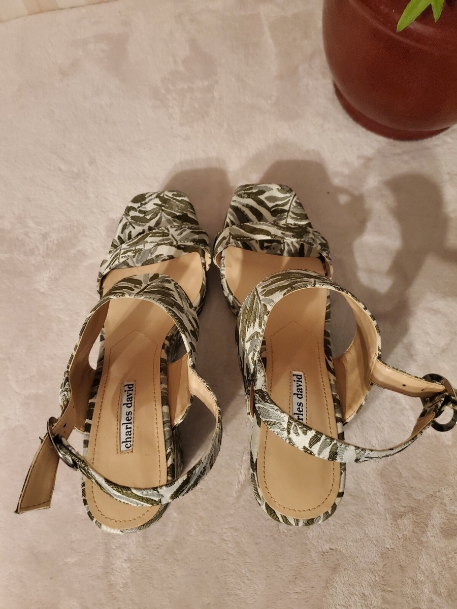 charles david jordan wedge