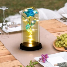 Eternal Forever Galaxy Rose Flower In Glass Dome LED Light Romantic Gift for Her