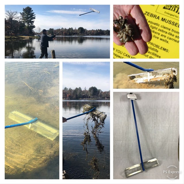 LAKE RAKE and SCOOP Zebra mussels. Algae Skimmer. Weed Cutter. Only 4
