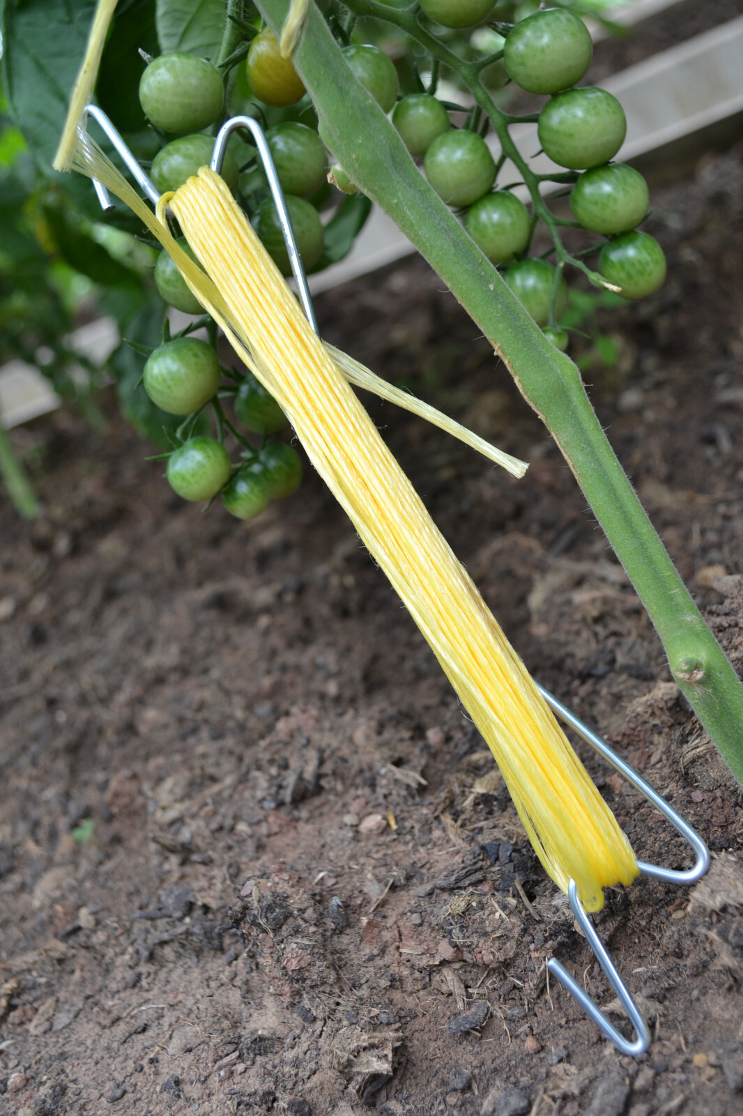 10 Tomatenhaken je 13m Schnur Paprika Gurken Rankhilfe + 10 Clipse