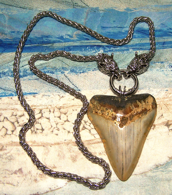 #ad #ad MEGALODON SHARK TOOTH 2 3 4quot; REAL SHARK TEETH NECKLACE XL FOSSIL quot;VIKINGquot; JEWEL $99.00