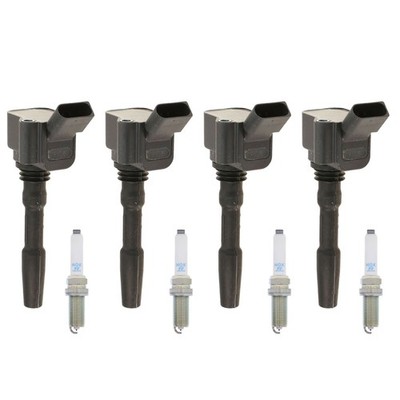 Eldor 4 Ignition Coils NGK Platinum Spark Plugs Kit for A4 A6 Macan Golf Jetta