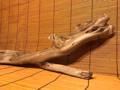 Schönes 25" TREIBHOLZ Terrarium Taxidermie Aquarium Strand Reptilien Holz DEKOR - Bild 3 von 12