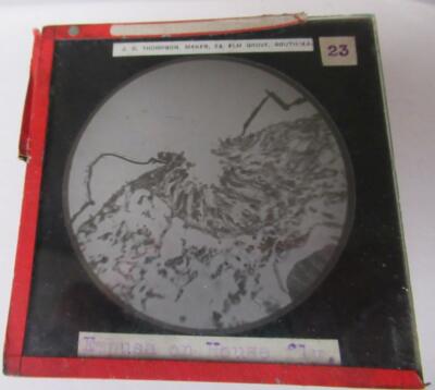 Empusa on House Fly  Microscope image Magic Lantern Slide see full listing page
