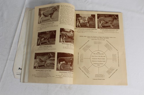 Guernsey Breeders Journal June 15, 1946 Cow Calf Bull Farms Cattle Dairy Ads - Imagen 16 de 24
