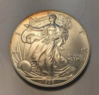 1998 American Silver Eagle 1 oz .999 Fine Silver Bullion Coin with toning