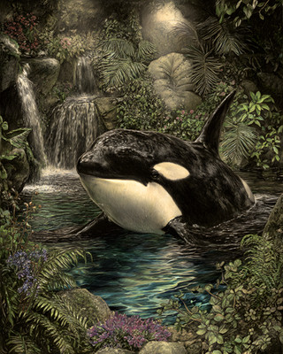 8x10 Wildlife Nature Animal Art Print - 595514767