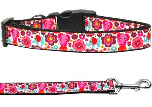 fun dog collars and leashes