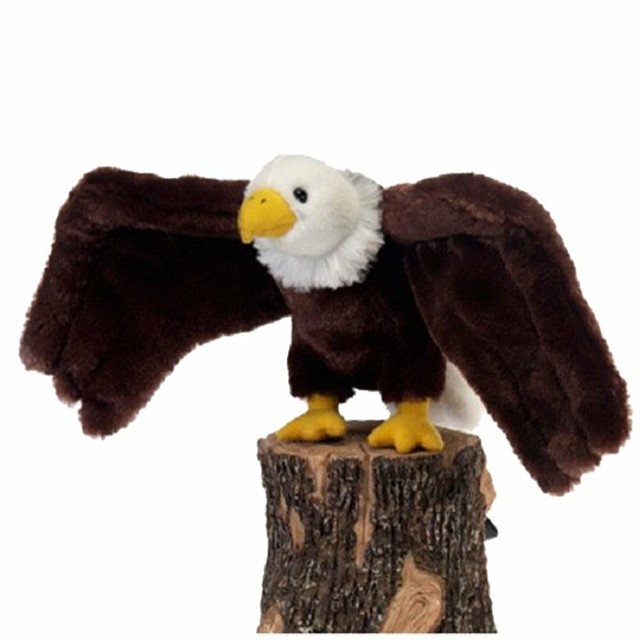 real stuffed bald eagle for sale
