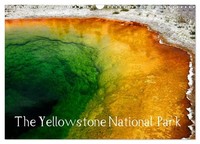 The Yellowstone National Park (Wall Calendar 2027 DIN A3 Landscape), Calvendo 12