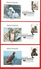 Águila Calva, CINCO Fundas Diferentes Primer Día, Aguiluchos para Adultos, Aves Rapaces