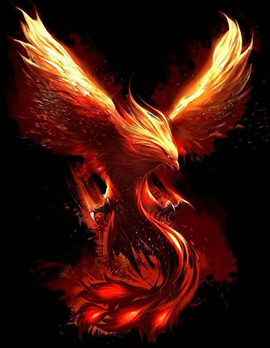 Fire Phoenix Iron On Transfer-T-Shirt + Light & Dark Fabrics #16