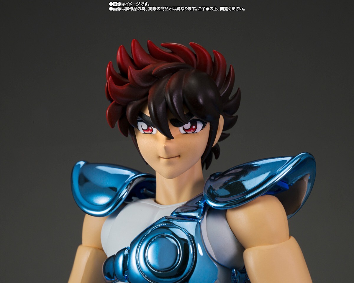 Saint Cloth Myth Pegasus Seiya Early Bronze Cloth Original Version
