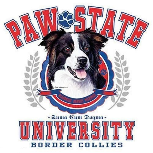 T-shirt bianca Border Collie cane Paw State University manica corta/lunga M-3X - Foto 2 di 3