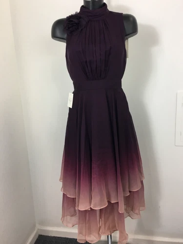 Phase Eight Maybel Ombre Corsage Chiffon Dress  Purple Size 8 BNWT RRP £179
