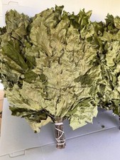 24 Oak brooms sauna banya venik Eiche whisks eco 2025 Ukrainian