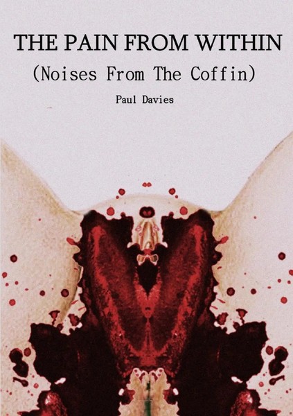 The Pain From Within Paul Davies Taschenbuch Kartoniert / Broschiert Englisch-image