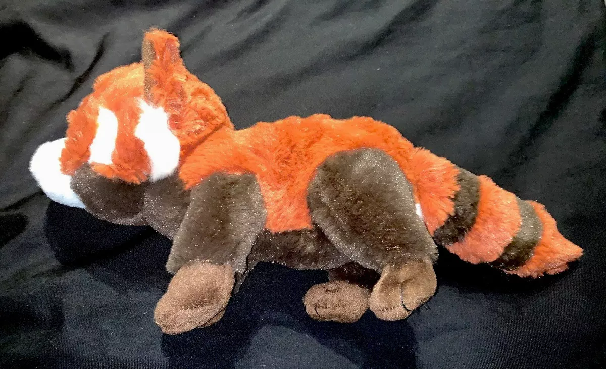 Hugfun raccoon hotsell