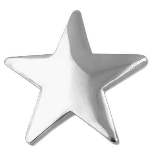 PinMart classico risvolto stella argento lucido regalo riconoscimento studente dipendente - Foto 1 di 3