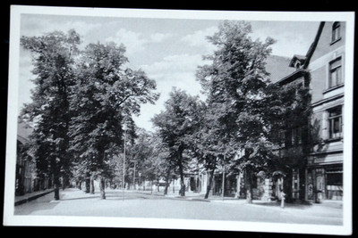 66929 Postcard Ilmenau In Thuringia Linden Street