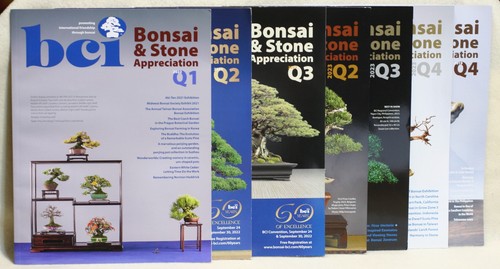 BONSAI Lot 7 Issues '22 Q1,2,3 & '23 Q2,3.4 & '19 Q4 Bonsai & Stone Appreciatio