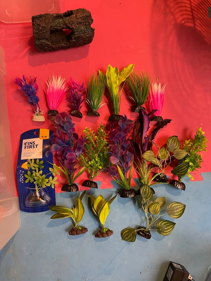 LOTE DE SUMINISTROS PARA PECERAS USADOS - SUMINISTROS USADOS PARA MASCOTAS PECES BETTA Foto 3 de 4