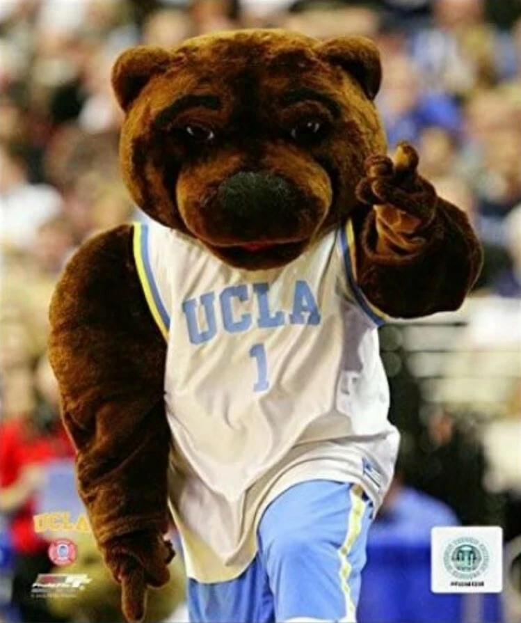 Ucla Basketball Mascot