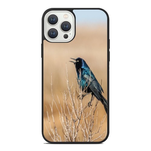 For iPhone SE XS XR Max 5 6 7 8 Plus Quiscalus boat tailed grackle Case Friendly - Picture 6 of 25