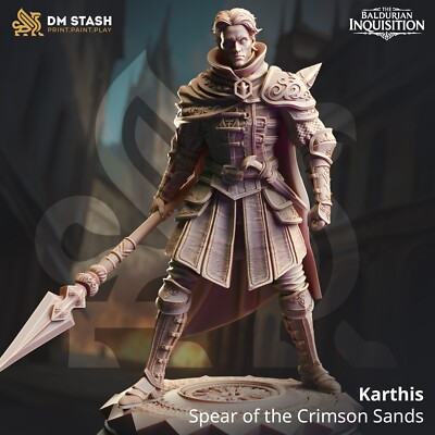 DM Stash Miniatures Human Male Spear Master Fighter Polearm Warrior DnD D&D RPG