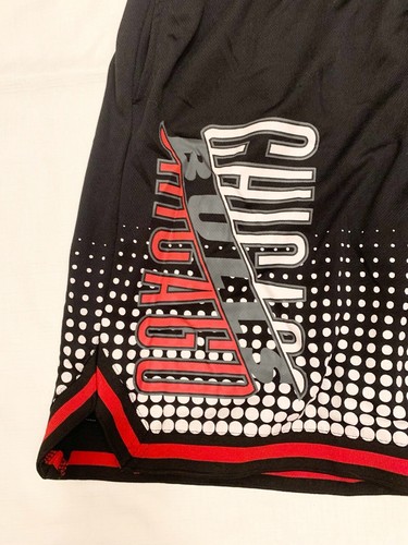 NBA Chicago Bulls Shorts L Large 32" Basketball Gym Running Workout - Picture 2 of 5