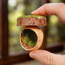 Jumping Spider Hide Magnetic Jumping Spider Hiding Habitats Handmade Robust