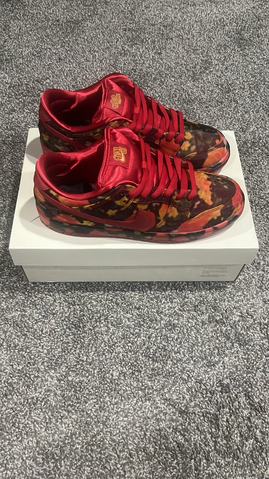 🔥Size 8 - Nike The Wizard of Oz x Dunk SB Low Poppy Field ✅ Fast Shipping