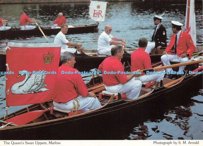 D200691 Marlow The Queen Swan Uppers Allerheiligen S M Arnold
