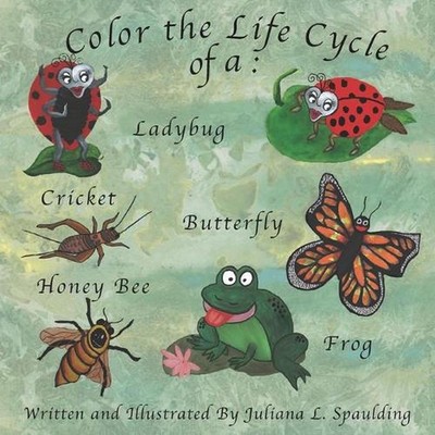 Color the Life Cycle of a Ladybug, Cricket, Butterfly, Honey Bee, and a Frog by