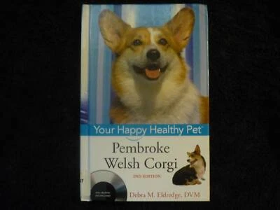 corgi gumtree