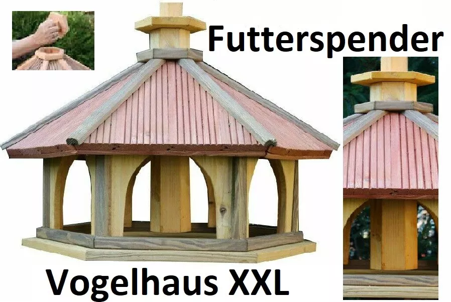 Bild 7 von 31