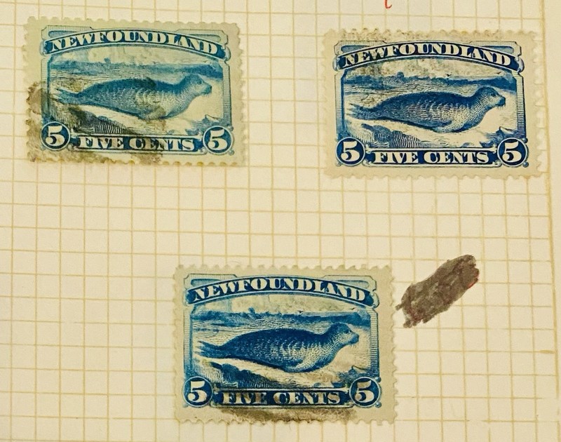 Newfoundland Stamps. # 53, 54 And 55MH.
