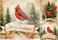 Merry Cardinal | A4 Rice Paper | Paper for Decoupage | Decoupage Central