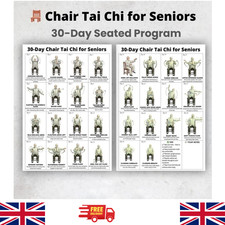 Tai Chi Chair Exercise Poster Seated Workout for Seniors & Beginners